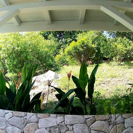 Villa Cana Et Son Spa A Terre De Haut المظهر الخارجي الصورة