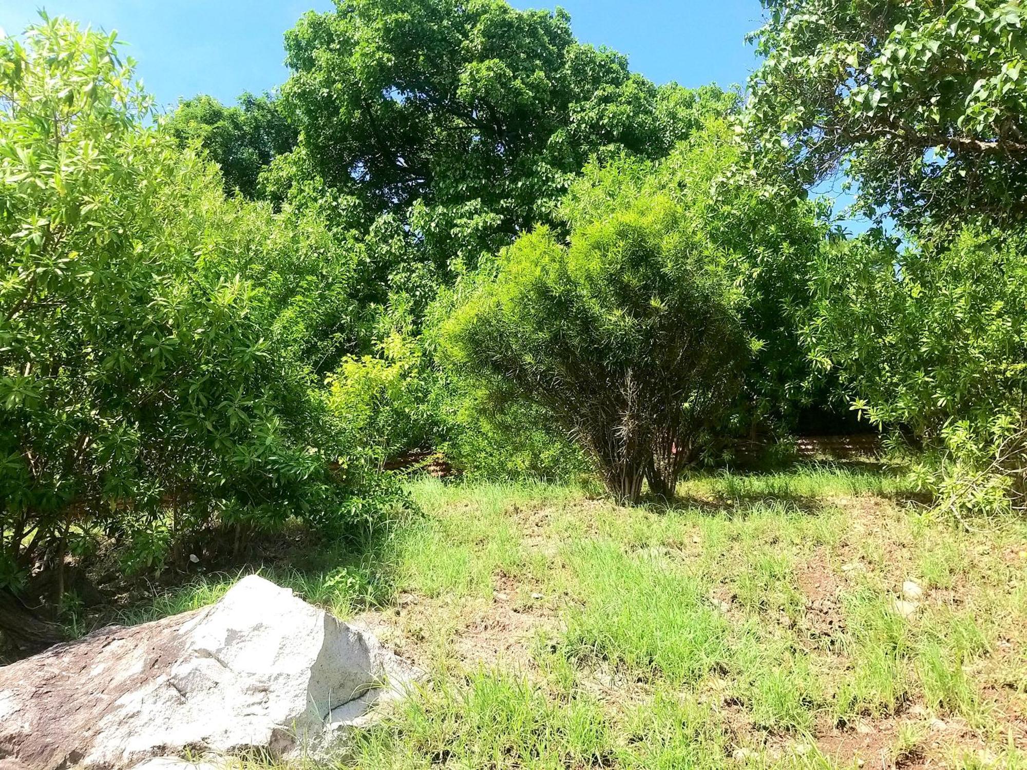 Villa Cana Et Son Spa A Terre De Haut المظهر الخارجي الصورة